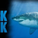 Shark Tank Season Four Products