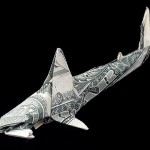 shark tank effect cash flow
