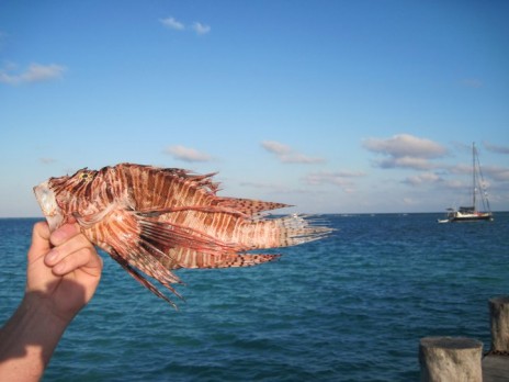 Traditional Fisheries Shark Tank Update – Shark Tank Season 4