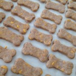 ryans barkery home made dog treats episode 424 Shark Tank Season 4
