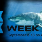 Shark Tank Week