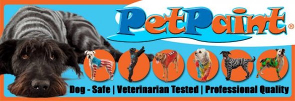 PetPaint Shark Tank Update – Shark Tank Season 5