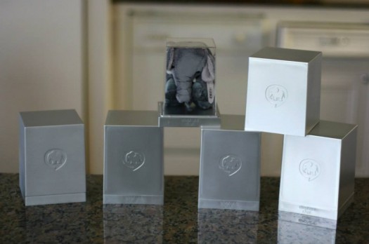 Elephant Chat Shark Tank Update – Shark Tank Season 5