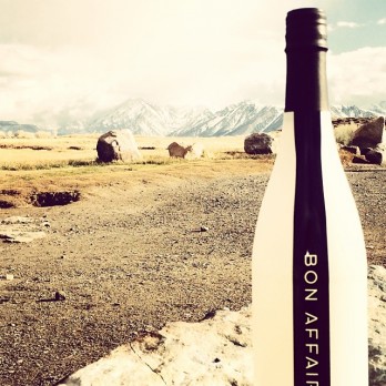 Bon Affair Shark Tank Update – Shark Tank Season 5