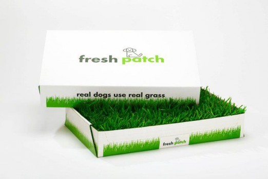 Fresh Patch Shark Tank Update – Shark Tank Season 6