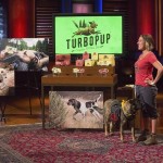 turbo pup