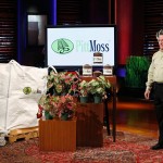 Peat Moss Substitute