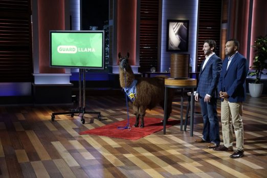 Guard Llama Shark Tank Update – Shark Tank Season 8