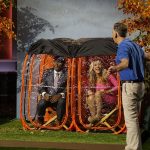 tent chair chair tent