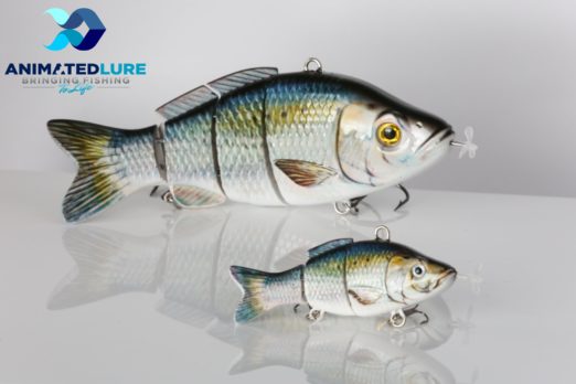 Animated Lure Shark Tank Update – Shark Tank Season 12