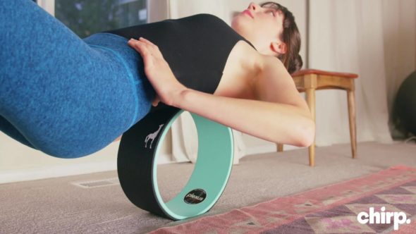 Chirp Shark Tank Update – Shark Tank Season 12