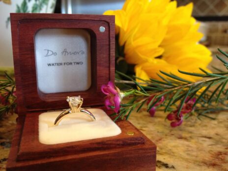 Do Amore Shark Tank Update – Shark Tank Season 13