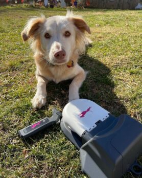 SwiftPaws Shark Tank Update – Shark Tank Season 13