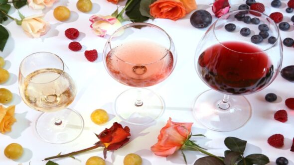 Wondry Wine Shark Tank Update – Shark Tank Season 14