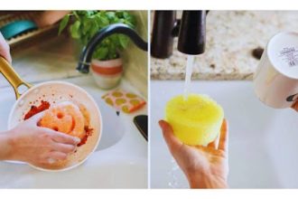 Scrub Daddy Shark Tank