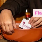 FlaminGO Pre-Charged Portable Charger - A Business Breakdown