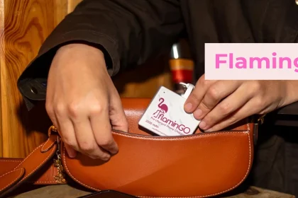 FlaminGO Pre-Charged Portable Charger - A Business Breakdown