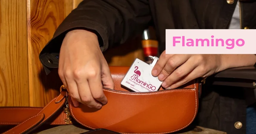 FlaminGO Pre-Charged Portable Charger - A Business Breakdown