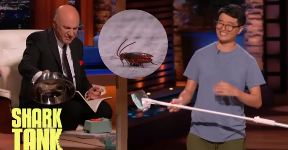 Cup-a-Bug Shark Tank Update – Shark Tank Season 15