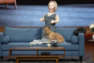 Gerty's Doll Shark Tank meme