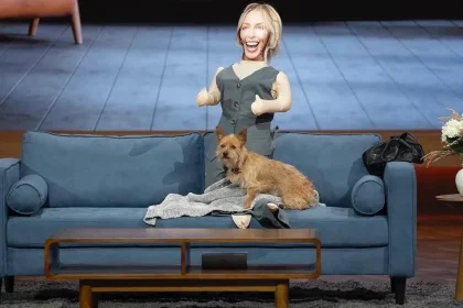 Gerty's Doll Shark Tank meme