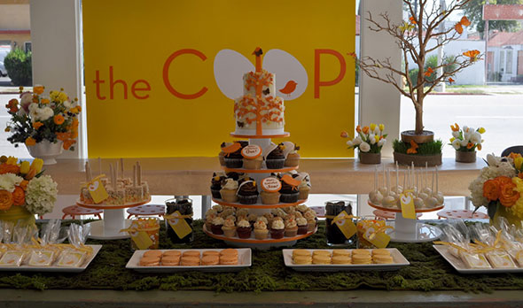 The Coop Shark Tank Update – Shark Tank Season 4